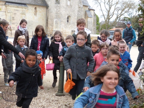 le rush vers les nids